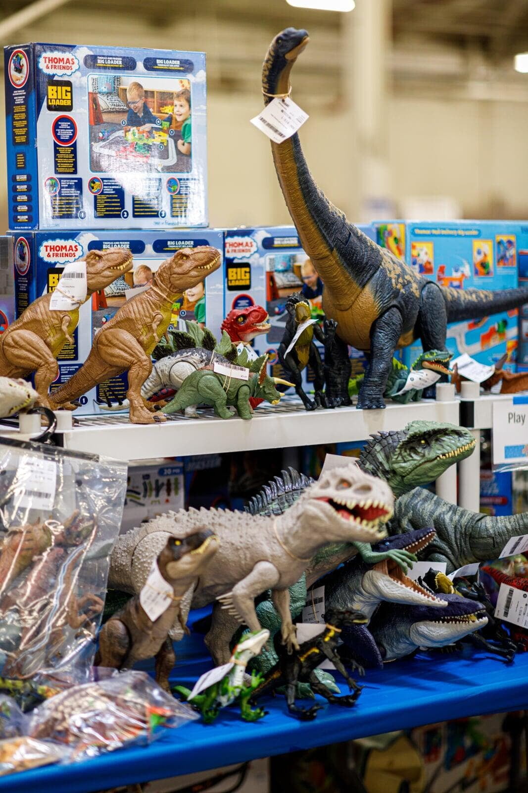 Toy Dinosaur Display